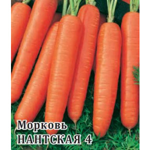 Морковь Нантская 4 / NANTSKAYA 4 Гавриш