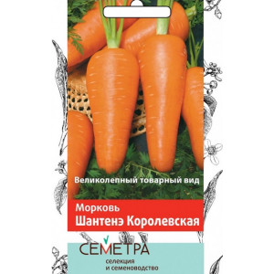 Морковь ШАНТАНЭ КОРОЛЕВСКАЯ Семетра Поиск