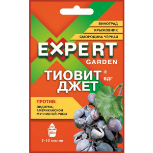 Фунгицид ТИОВИТ ДЖЕТ Expert Garden