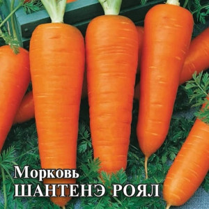 Морковь ШАНТАНЕ РОЯЛ Гавриш