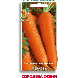 Морковь КОРОЛЕВА ОСЕНИ ЦВ Поиск