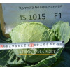 Капуста белокочанная JS 1015 F1 Atakama Seeds  фото 2