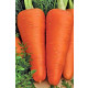 Морковь ШАНТАНЭ РОЯЛ 1,4-1,6 (упаковка 50 грамм) Поиск