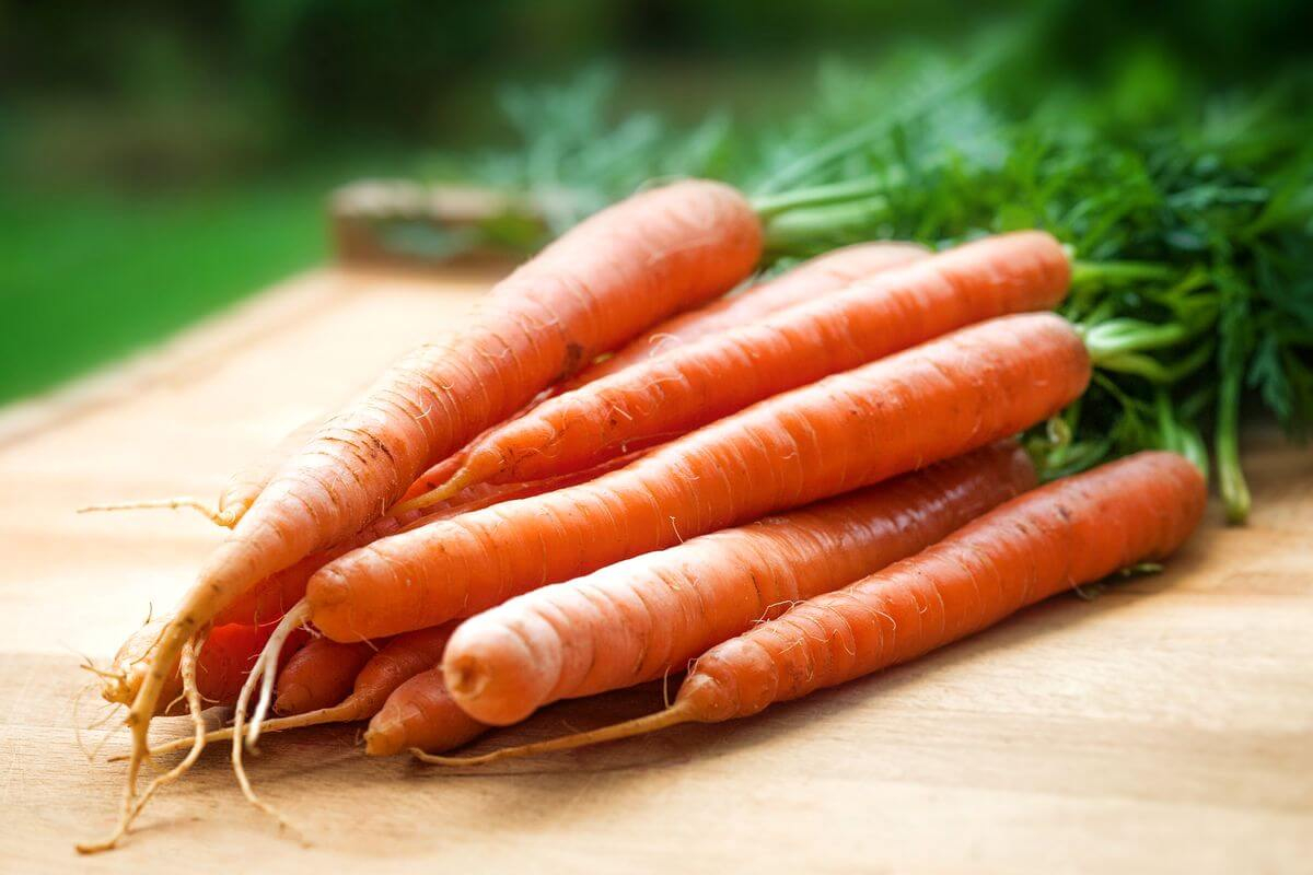 Берликум морковь