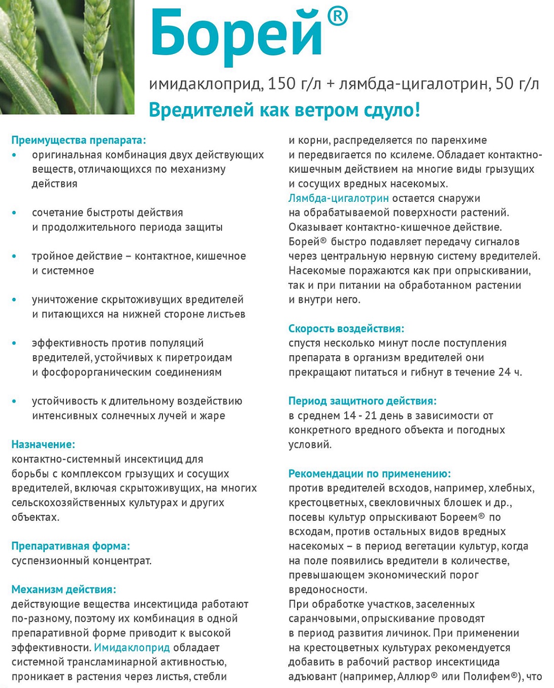 Купить инсектицид «Борей» Avgust в Крыму | Цена, инструкция — «АгроМаркет»